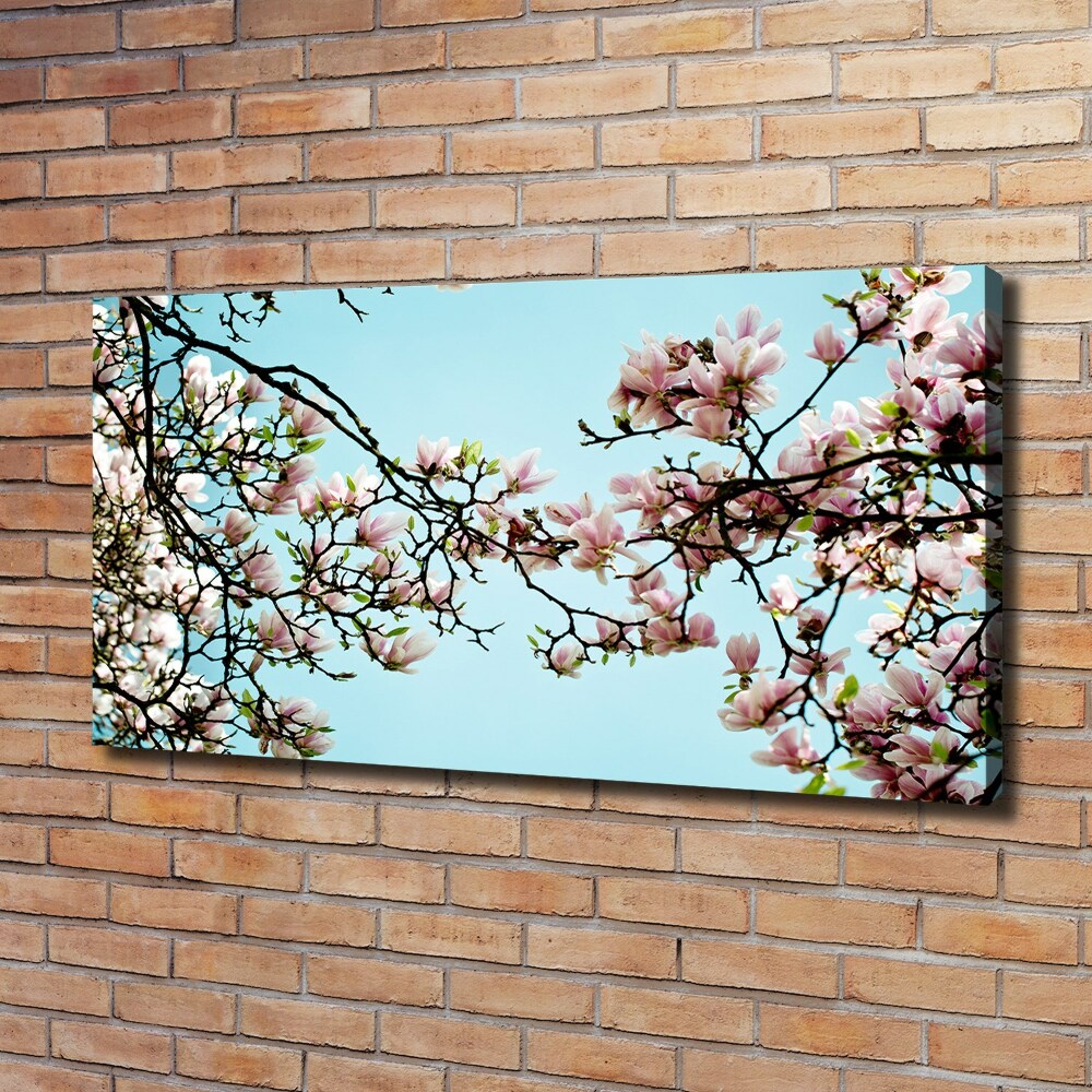 Canvas wall art Magnolia flowers