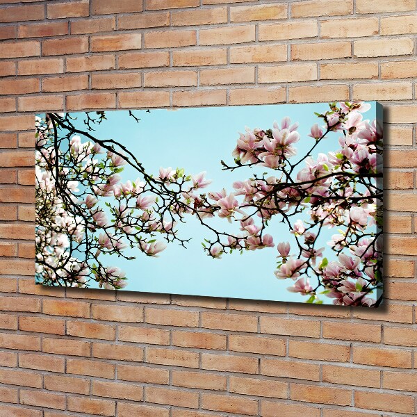 Canvas wall art Magnolia flowers