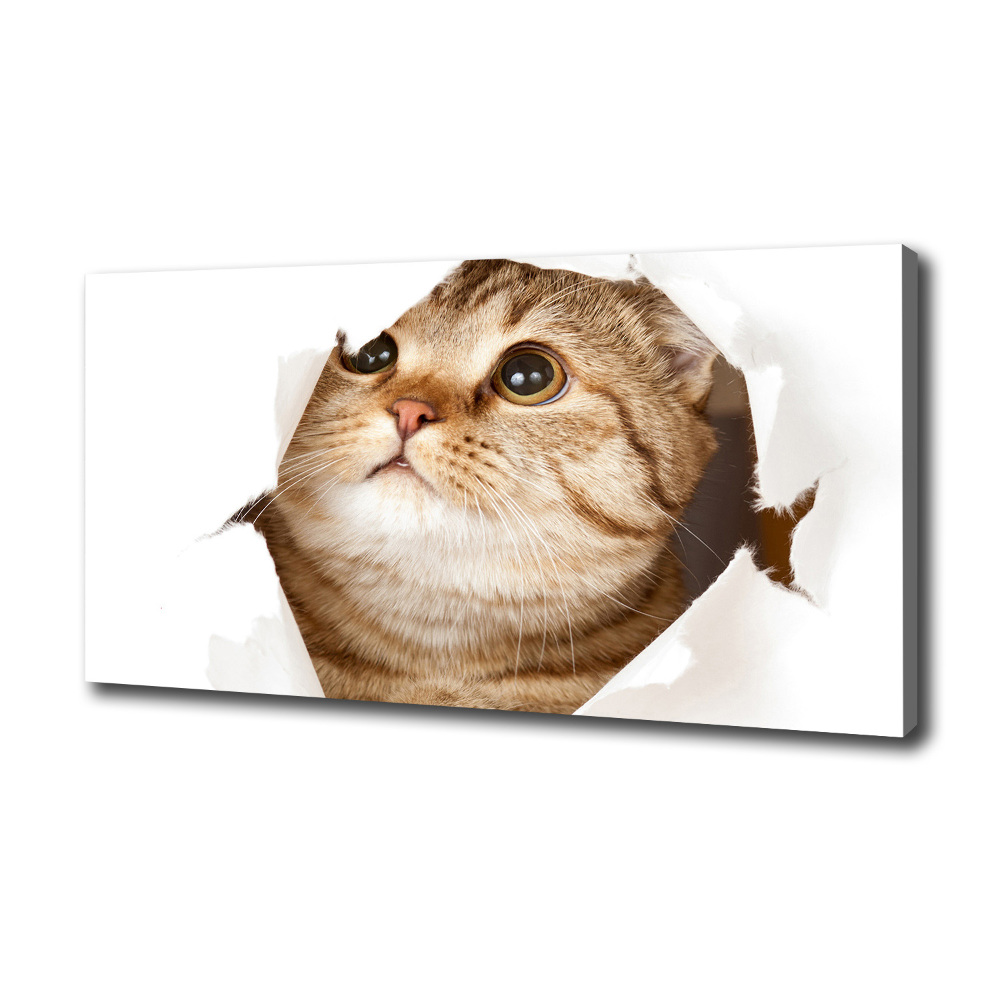 Wall art canvas large Cat