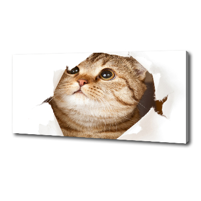 Wall art canvas large Cat