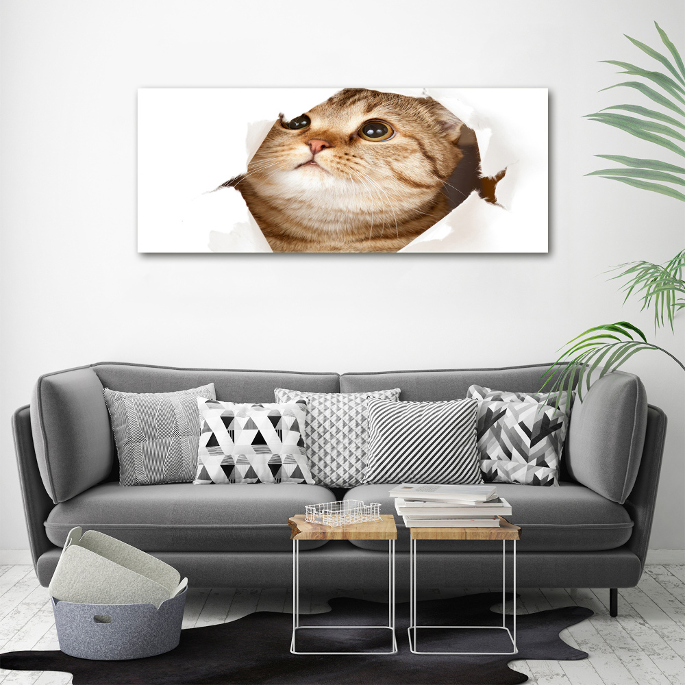 Wall art canvas large Cat