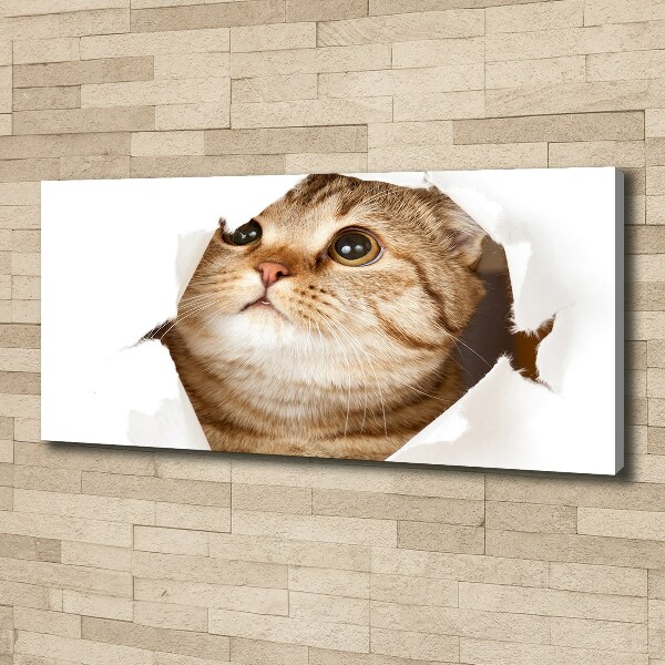 Wall art canvas large Cat