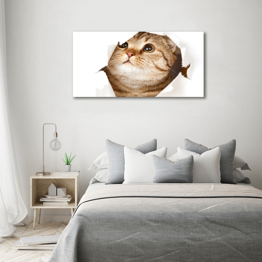 Wall art canvas large Cat