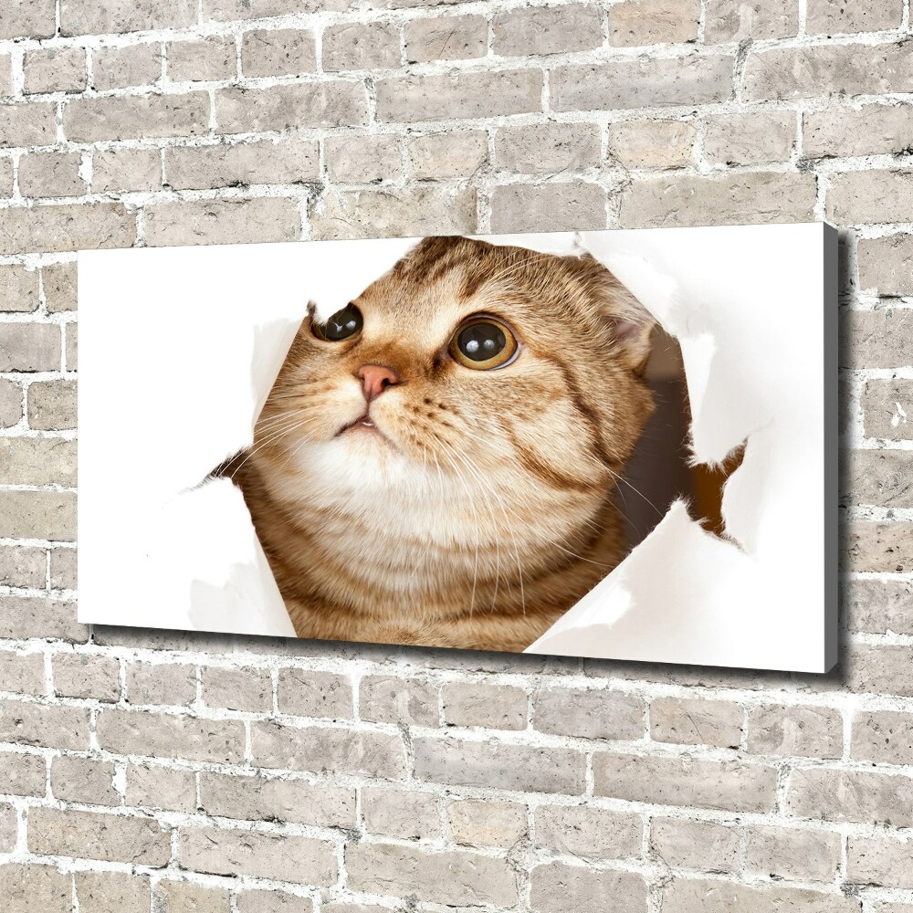 Wall art canvas large Cat