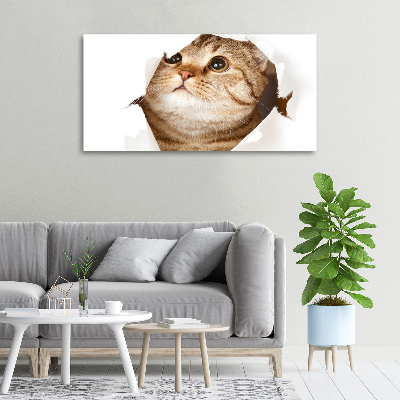 Wall art canvas large Cat