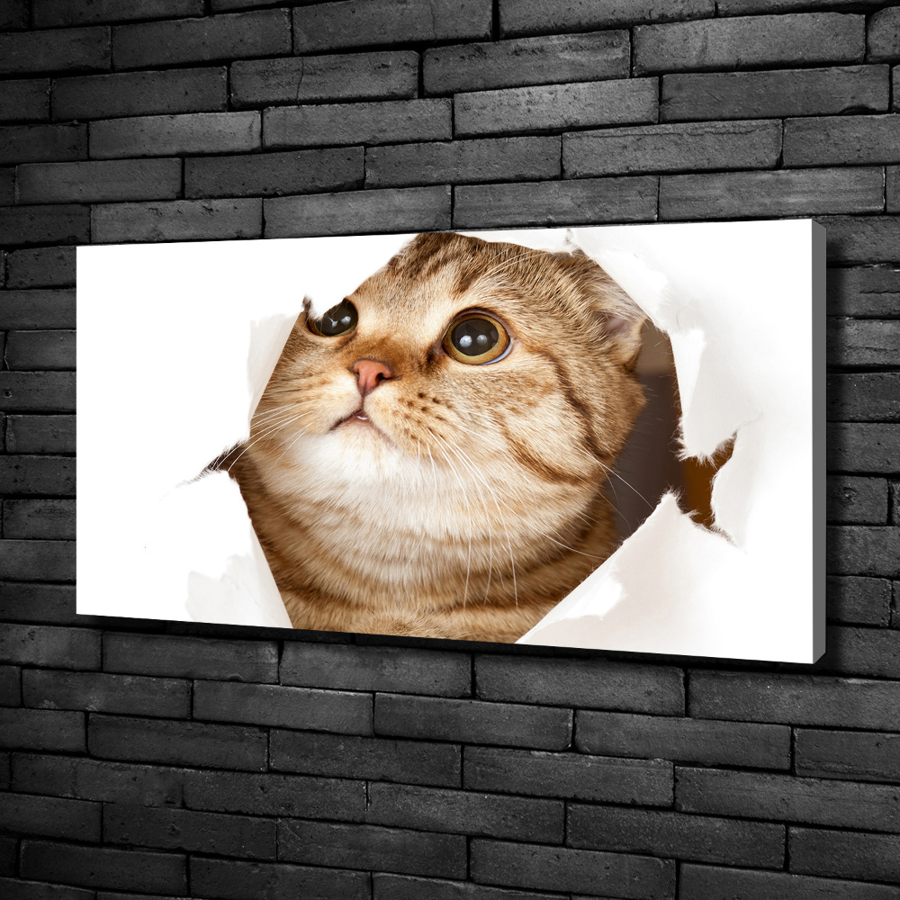 Wall art canvas large Cat