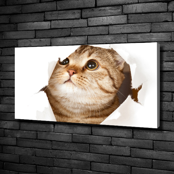 Wall art canvas large Cat