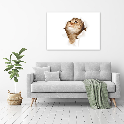 Wall art canvas large Cat