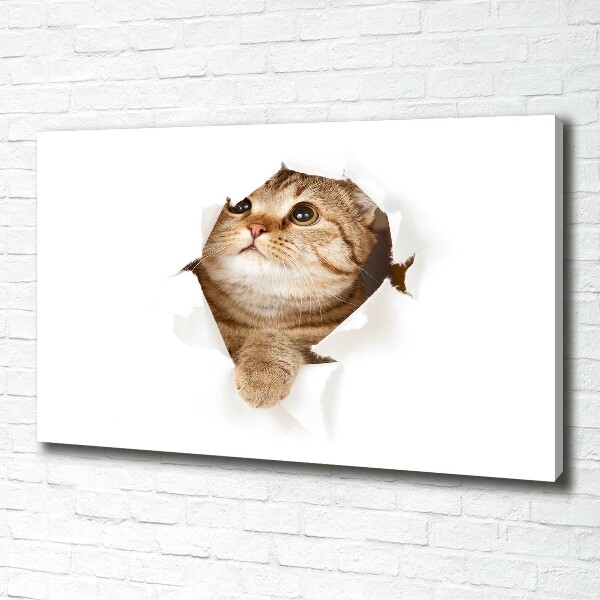 Wall art canvas large Cat