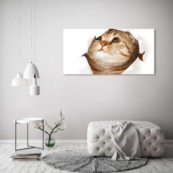 Wall art canvas large Cat