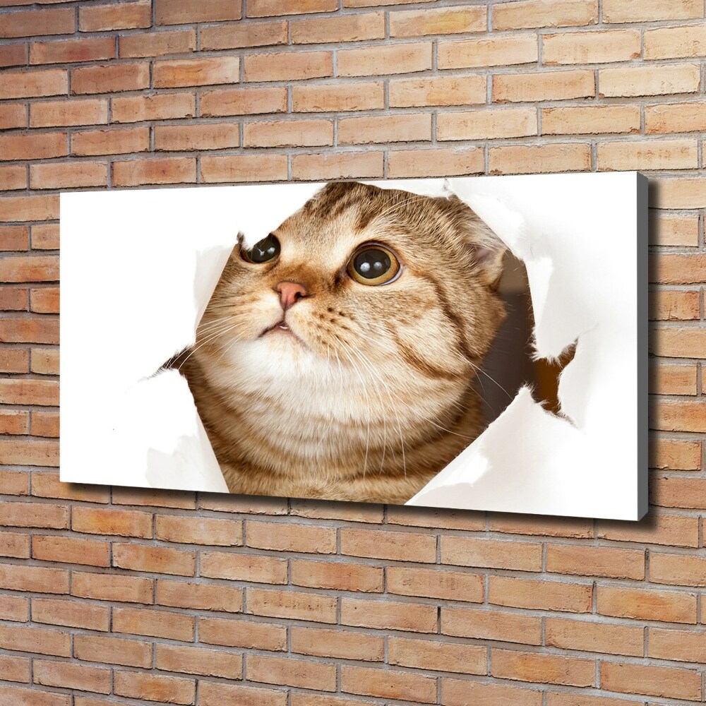 Wall art canvas large Cat