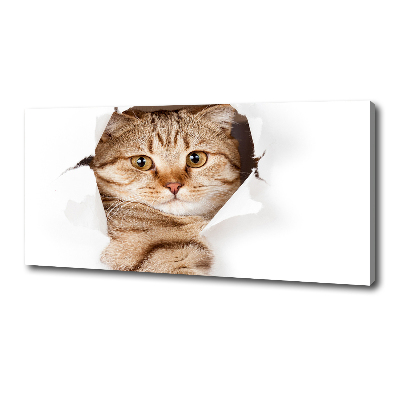 Large canvas wall art Cat