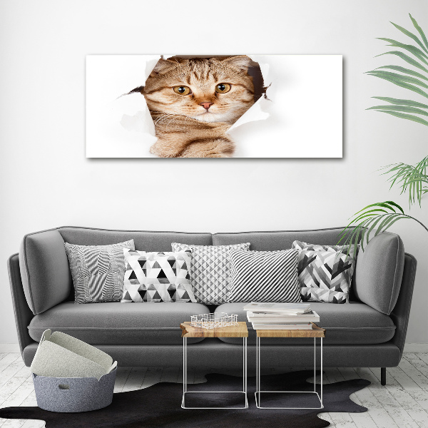 Large canvas wall art Cat