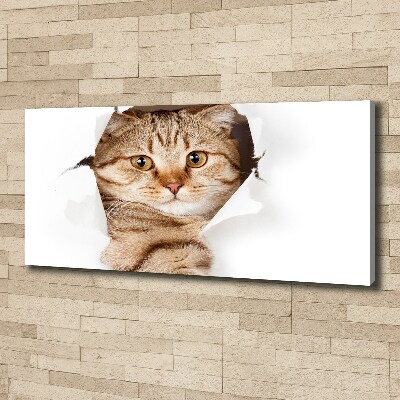 Large canvas wall art Cat