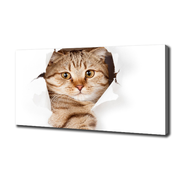 Large canvas wall art Cat