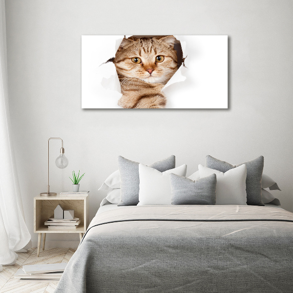 Large canvas wall art Cat