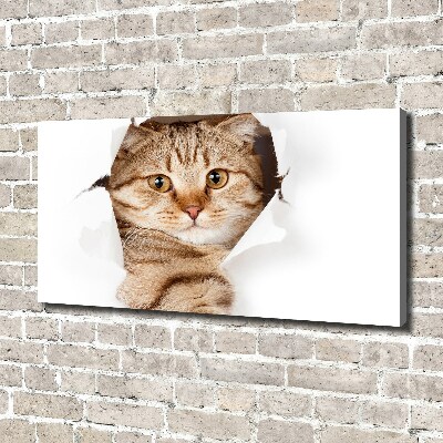 Large canvas wall art Cat