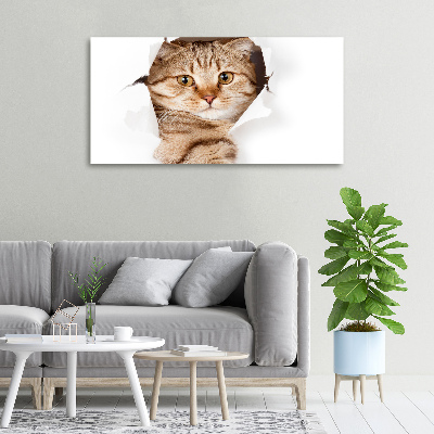 Large canvas wall art Cat