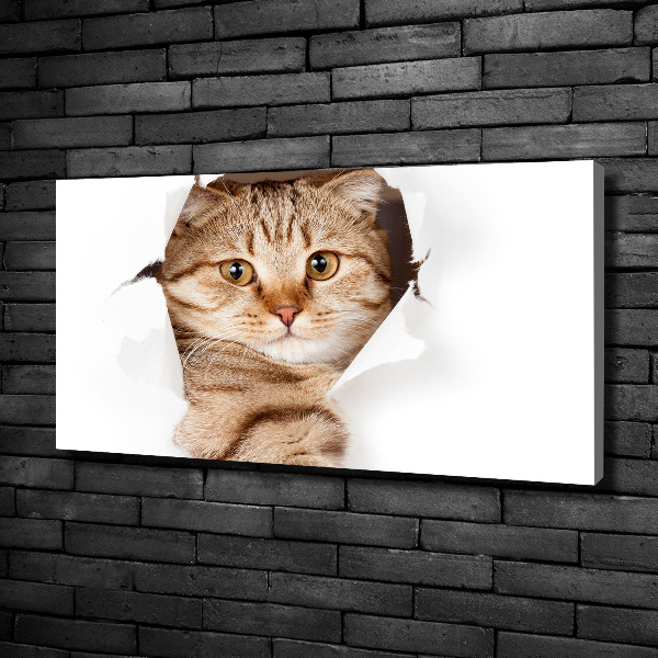 Large canvas wall art Cat