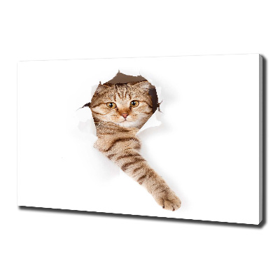 Large canvas wall art Cat