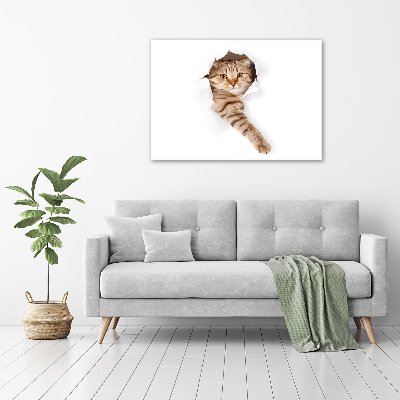 Large canvas wall art Cat