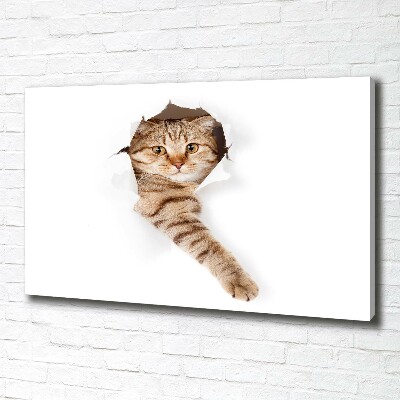 Large canvas wall art Cat