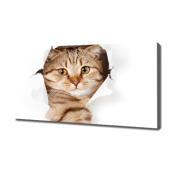 Large canvas wall art Cat