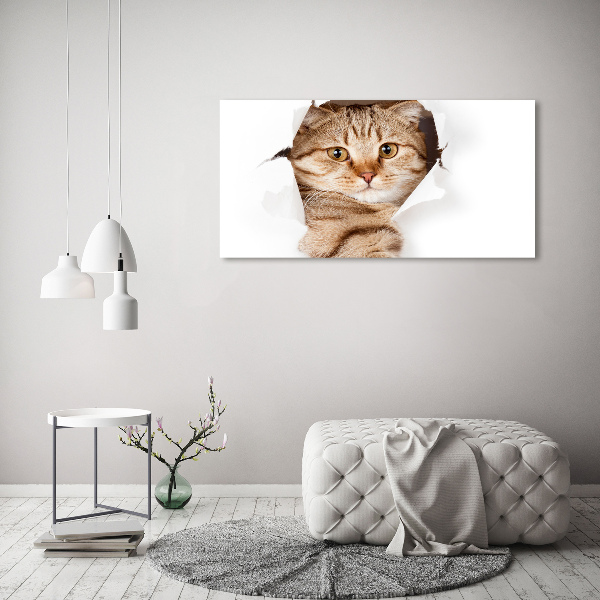 Large canvas wall art Cat