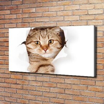 Large canvas wall art Cat