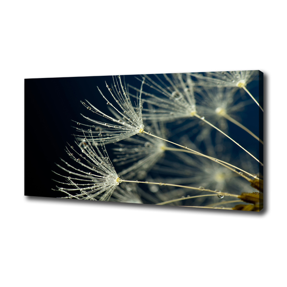 Canvas wall art Dandelion seeds