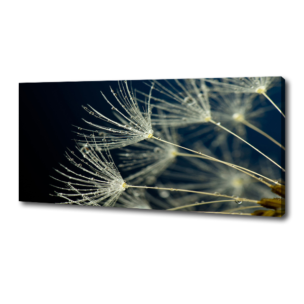 Canvas wall art Dandelion seeds