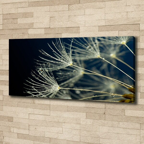 Canvas wall art Dandelion seeds