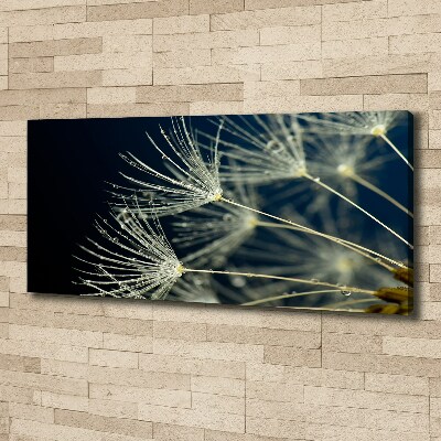 Canvas wall art Dandelion seeds