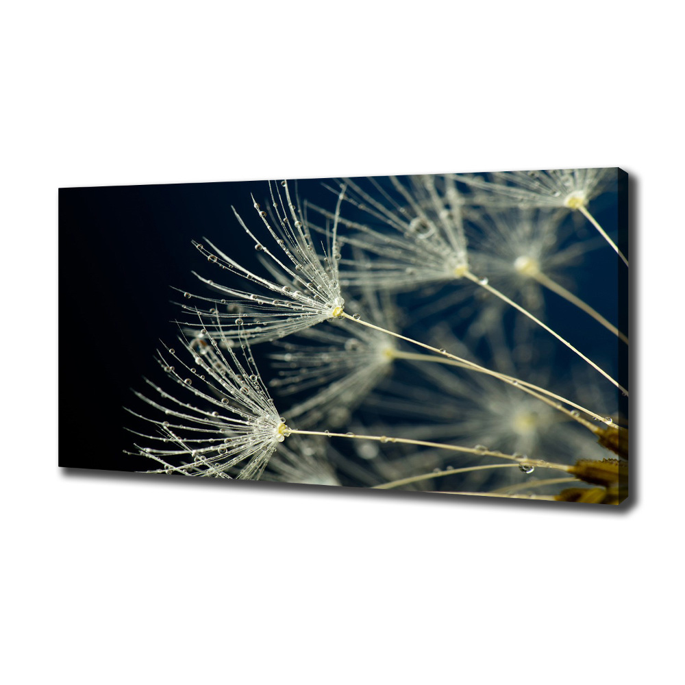 Canvas wall art Dandelion seeds