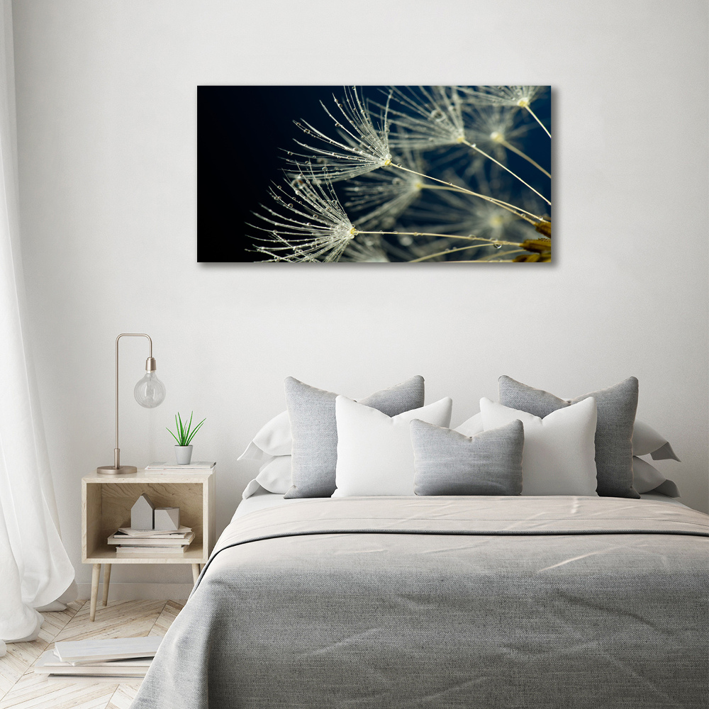 Canvas wall art Dandelion seeds