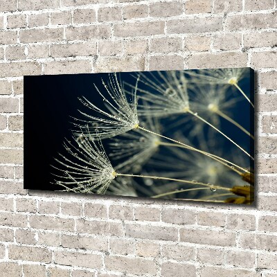 Canvas wall art Dandelion seeds