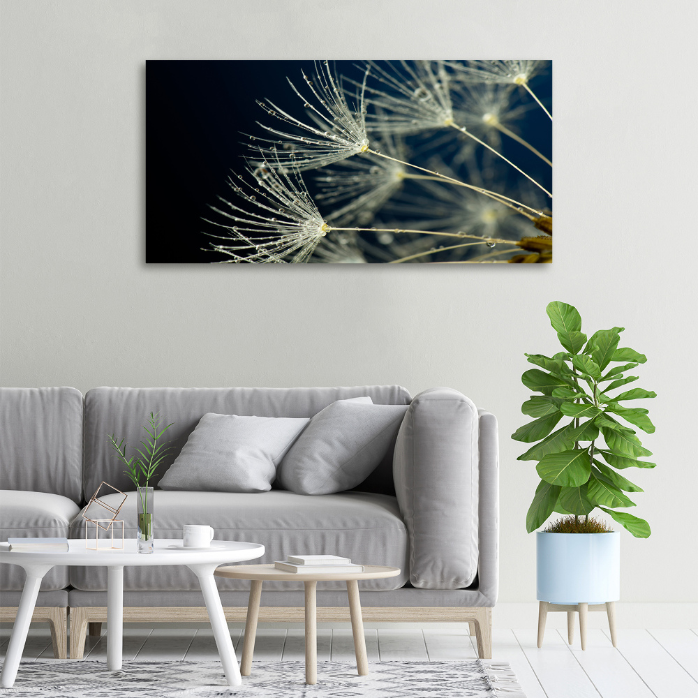 Canvas wall art Dandelion seeds