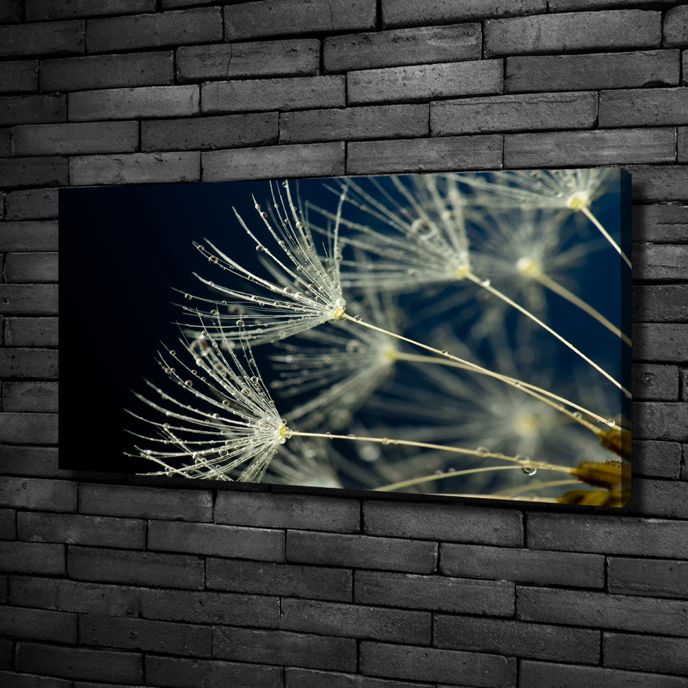 Canvas wall art Dandelion seeds