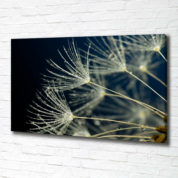 Canvas wall art Dandelion seeds