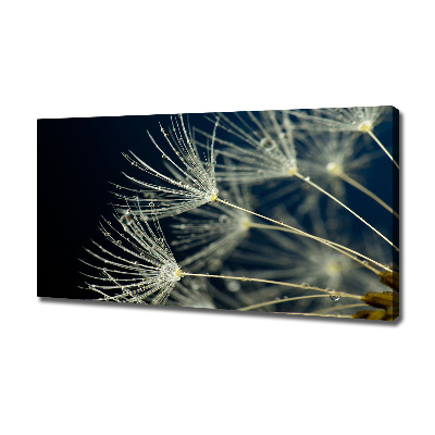 Canvas wall art Dandelion seeds