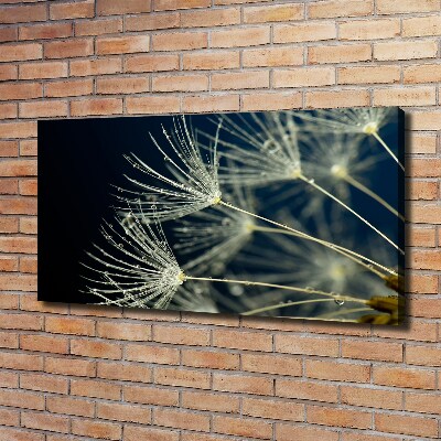 Canvas wall art Dandelion seeds