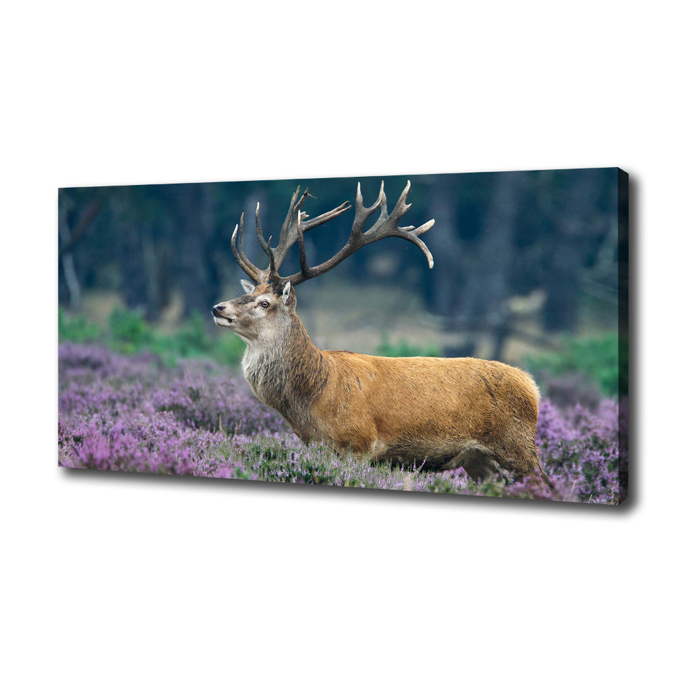 Large canvas wall art Deer among lavender