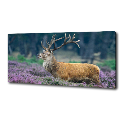 Large canvas wall art Deer among lavender