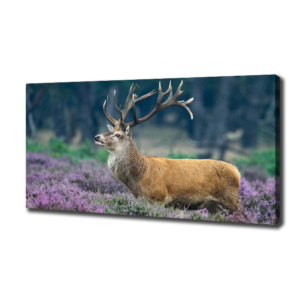 Large canvas wall art Deer among lavender