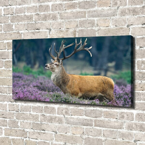 Large canvas wall art Deer among lavender