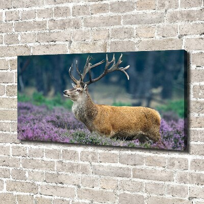 Large canvas wall art Deer among lavender