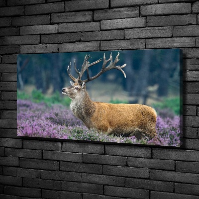 Large canvas wall art Deer among lavender