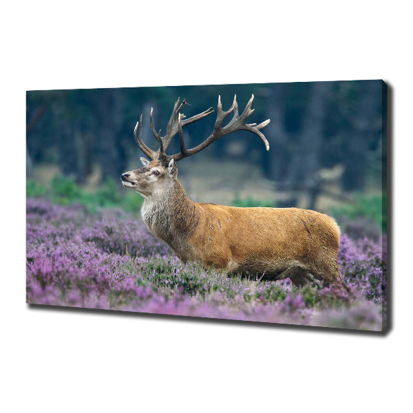 Large canvas wall art Deer among lavender