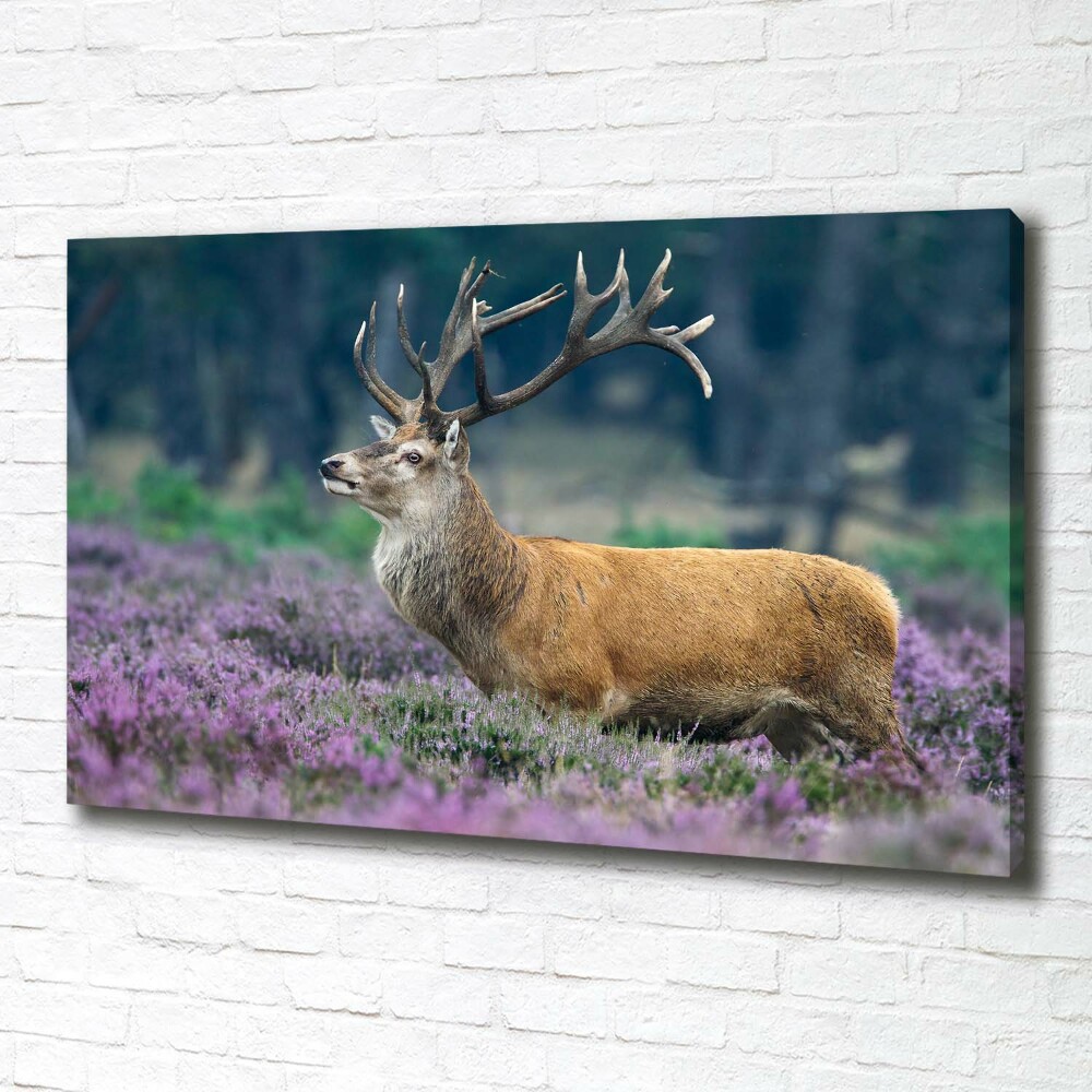 Large canvas wall art Deer among lavender