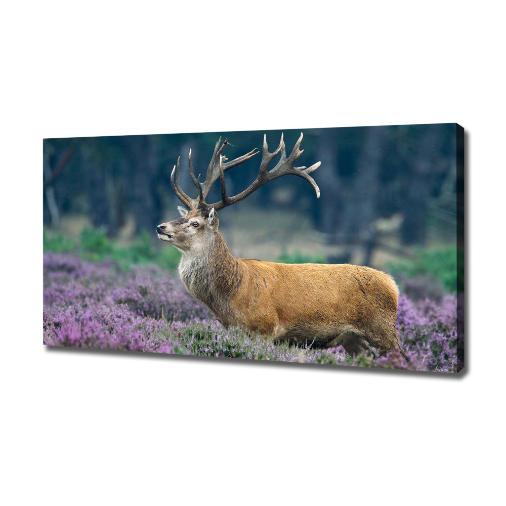 Large canvas wall art Deer among lavender